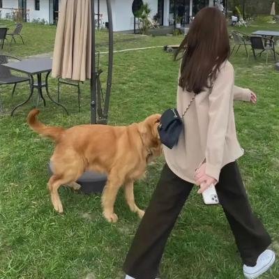 熊出没